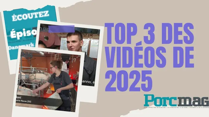 Top 3 des vidéos 2025