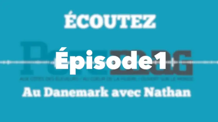 Podcast danois