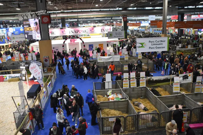 Pavillon 1 stand et ring porcin