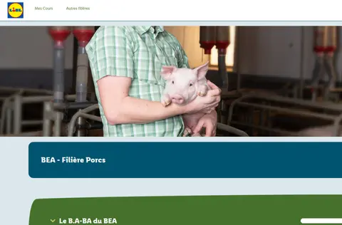 La plateforme BEA de Lidl France