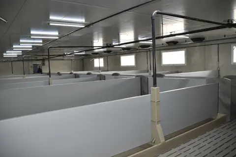 Exemple d'un investissement réalisé en élevage porcin pour améliorer les performances énergetiques de l'exploitation.