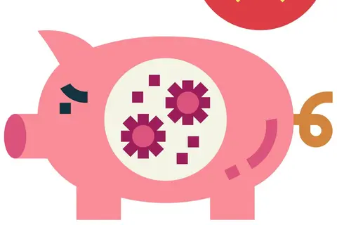 african swine fever flat icon style