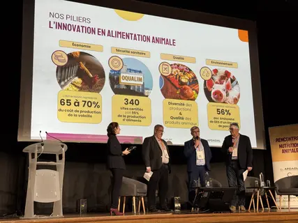 Les 4 piliers de l’innovation en alimentation animale