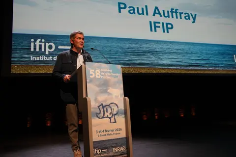 Paul Auffray, JRP 2026