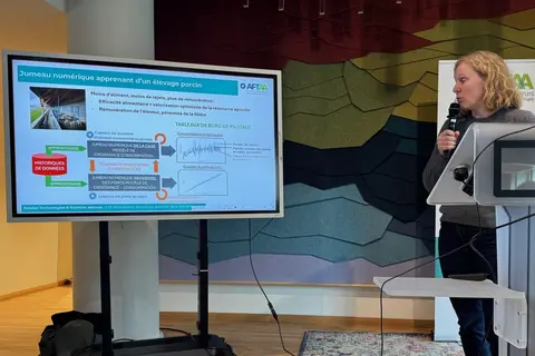 Retour sur la conférence AFTAA spéciale intelligence numérique et outils d’aide à la décision en élevage porcin autour du thème de la nutriti